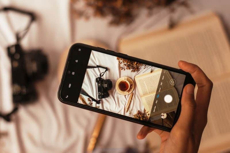 celulares económicos